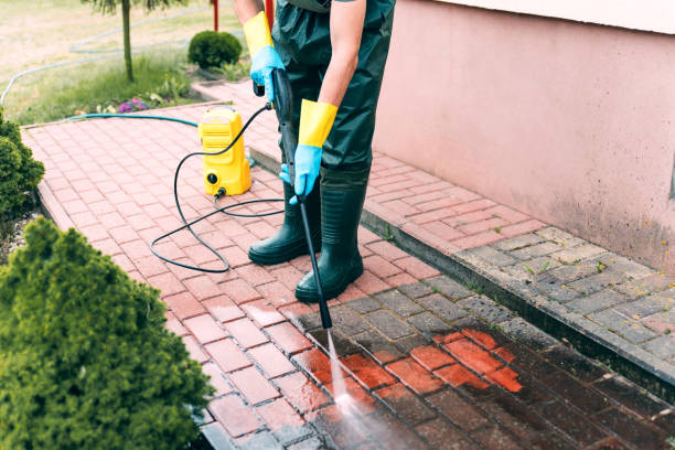 Best Roof Pressure Washing  in Fowler, IN
